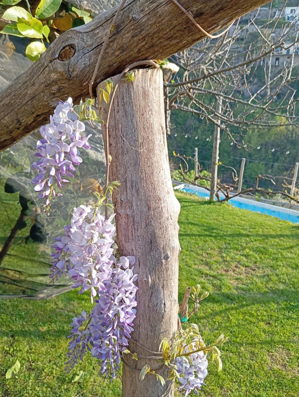 스칼라 Casa Mia 빌라 외부 사진